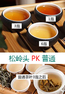 松嶺頭白茶經(jīng)得起泡